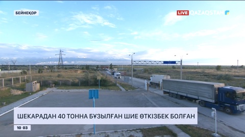 Қазақ-қырғыз шекарасынан 40 тонна бұзылған шие өткізбек болғандар анықталды