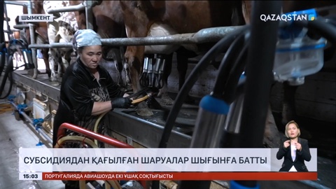 Шымкентте субсидиядан қағылған шаруалар шығынға батты