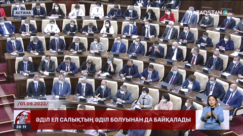 Жаңа салық кодексі: Салық әділ бөліне ма?