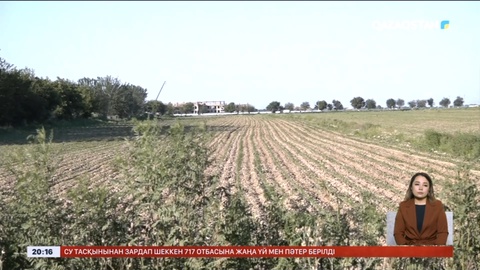 Жетісай ауданында индустриалды аймақ үшін шаруалардың жерін алмақ