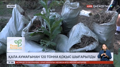 Ақтөбеліктер қала аумағынан 120 тонна қоқыс шығарды