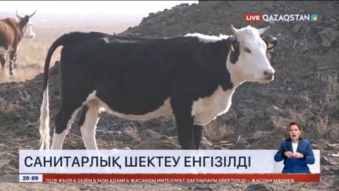 Шымкентте санитарлық шектеу енгізілді