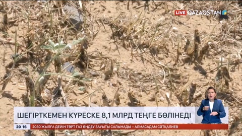 Шегірткемен күреске 8,1 млрд теңге бөлінеді