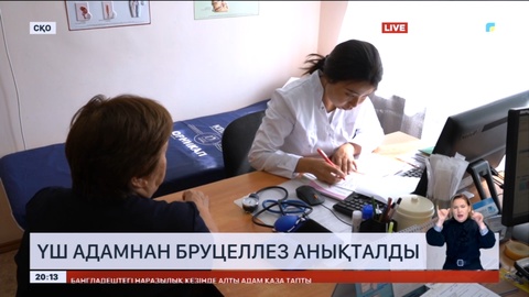 Солтүстік Қазақстан облысында үш адамнан бруцеллез анықталды