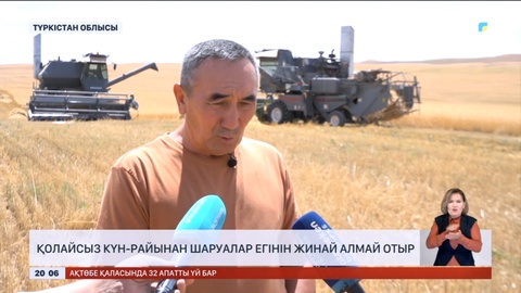 Түркістан облысында қолайсыз күн-райынан шаруалар піскен егінін жинай алмай отыр