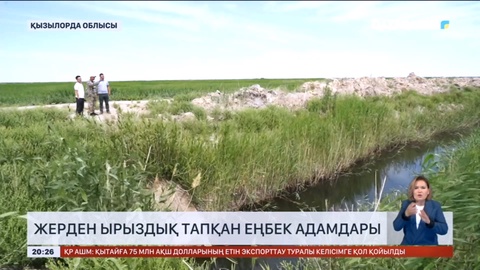 Сыр диқандары 191 мың гектар жерге ауыл шаруашылығы дақылдарын екті