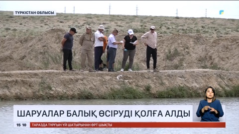 Түркістан облысында шаруалар балық өсіруді қолға алды