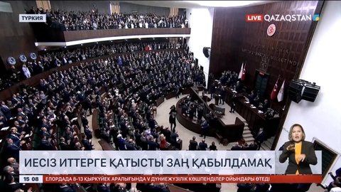 Түркия қаңғыбас иттерді азайту үшін арнайы құжат әзірледі