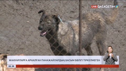 Жануарларға арналған панажайлардың басым бөлігі тіркелмеген