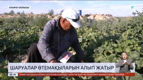 Атырау облысында шаруалар өтемақыларын алып жатыр