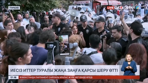 Түркияда иесіз иттер туралы жаңа заңға қарсы шеру өтті