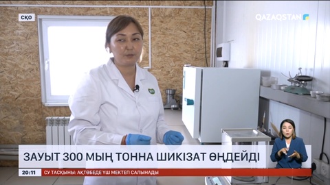 Теріскейдегі «Тайынша-май» зауыты өнімдерін экспортқа шығаруда