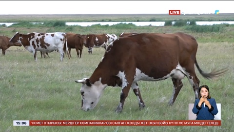 Солтүстік Қазақстанда 10 мың гектар жер мемлекетке қайтарылды