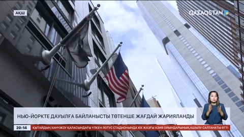 АҚШ-тың Нью-Йорк штатында дауылға байланысты төтенше жағдай жарияланды