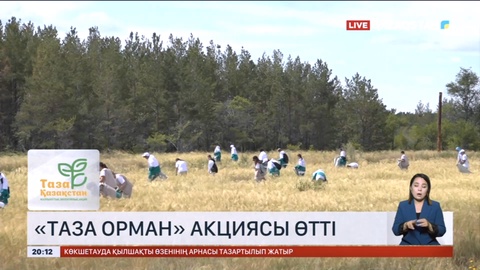 Шахтинск қаласында «Таза орман» акциясы өтті