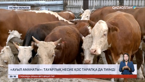 «Ауыл аманаты»: Тауарлық несие қос тарапқа да тиімді