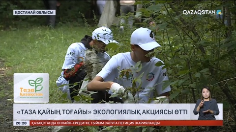 Қостанай облысында «Таза қайың тоғайы» экологиялық акциясы өтті