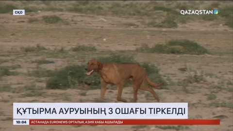 СҚО-да құтырма ауруының 3 ошағы тіркелді