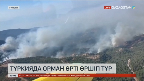 Түркияның бірнеше аймағында орман өрті өршіп тұр