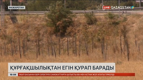 Мажарстандағы құрғақшылықтан ауыл шаруашылығы шығынға батты