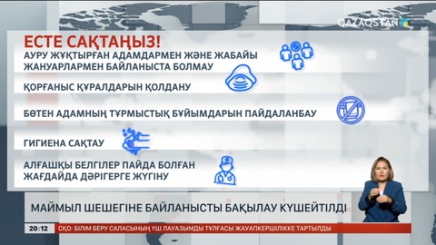 Маймыл шешегіне байланысты бақылау күшейтілді