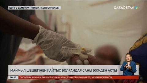 Конго Республикасында маймыл шешегінен қайтыс болғандар саны 548-ге жетті