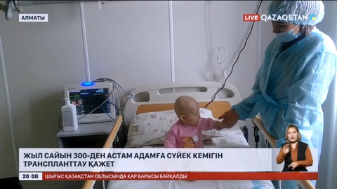 Жыл сайын 300-ден астам адамға сүйек кемігін транспланттау қажет