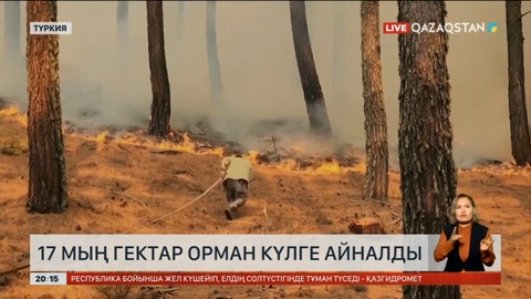 Түркияда 17 мың гектар орман күлге айналды