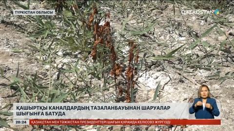 Шардара ауылында қашыртқы каналдардың тазаланбауынан шаруалар шығынға батуда