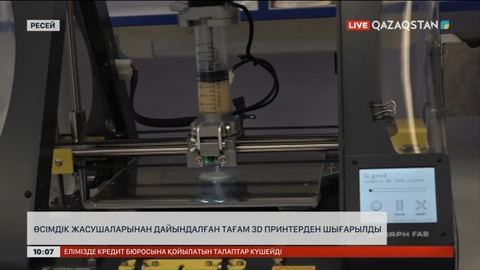 Ресейлік ғалымдар тағамды 3D принтерден шығарып көрді