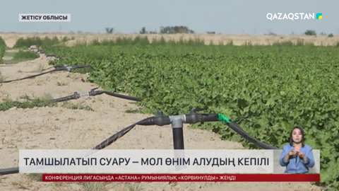 Жетісу облысында қант қызылшасын жаңа технологиямен өсіре бастады