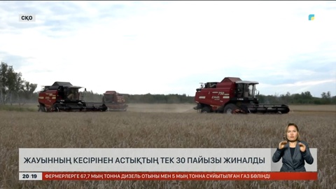 Солтүстікте жауынның кесірінен астықтың тек 30 пайызы жиналды