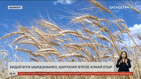 Бидай бітік шыққанымен, шаруалар өткізе алмай отыр