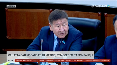 Сенаторлар салық саясатын жетілдіру мәселесін талқылады