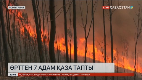 Португалияның орталығы мен солтүстігін алапат орман өрті шарпыды