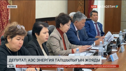Депутат: АЭС энергия тапшылығын жояды