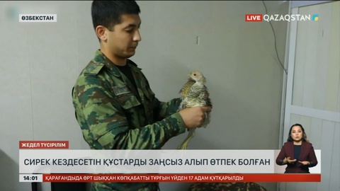Өзбекстанға сирек кездесетін құстарды заңсыз өткізбек болған адам ұсталды