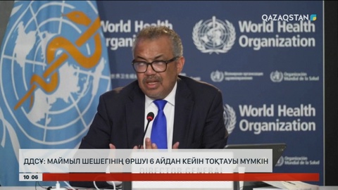 ДДСҰ: Маймыл шешегі Африкады 6 айдан соң ғана тоқтауы мүмкін