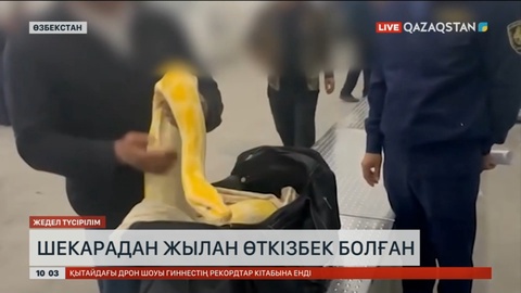 Қазақ-өзбек шекараcынан жылан өткізбек болғандар ұсталды