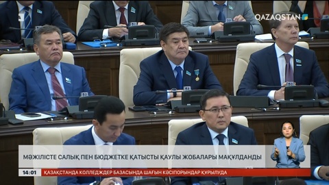 Мәжілісте салық пен бюджетке қатысты қаулы жобалары мақұлданды