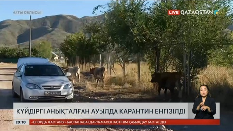 Күйдіргі анықталған Үлкен Ақсу ауылында карантин енгізілді