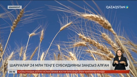 Шымкентте шаруалар 24 млн теңге субсидияны заңсыз алған