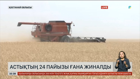 Қостанай облысында астықтың 24 пайызы ғана жиналды