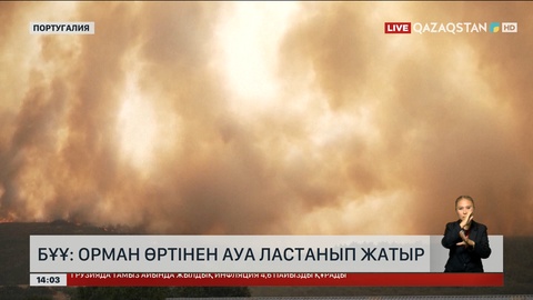 БҰҰ: Орман өртінен ауа ластанып жатыр