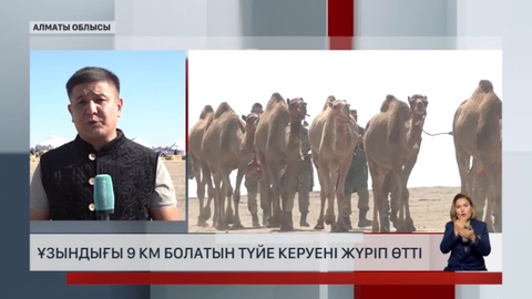Алматы облысында ұзындығы 9 км болатын түйе керуені жүріп өтті