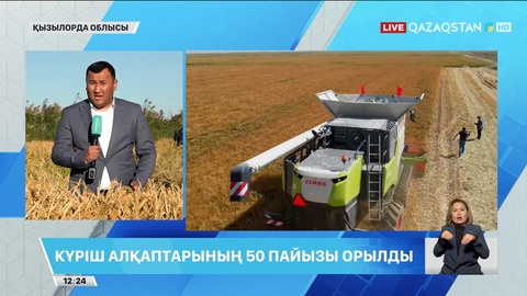 Қызылорда облысында күріш алқаптарының 50 пайызы орылды