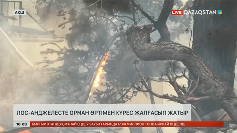 Лос-Анджелесте орман өртімен күрес жалғасып жатыр