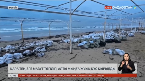 Қара теңізге мазут төгіліп, 6 мың құс қырылды