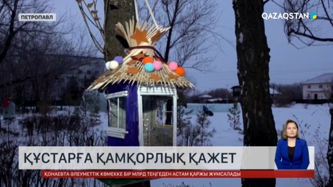 Құстарға қамқорлық қажет