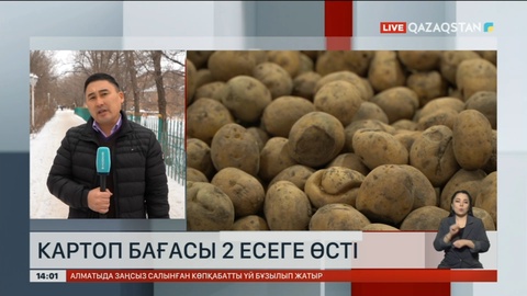 Ақтөбеде картоп екі есе қымбаттады